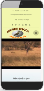 hamerkop safaris